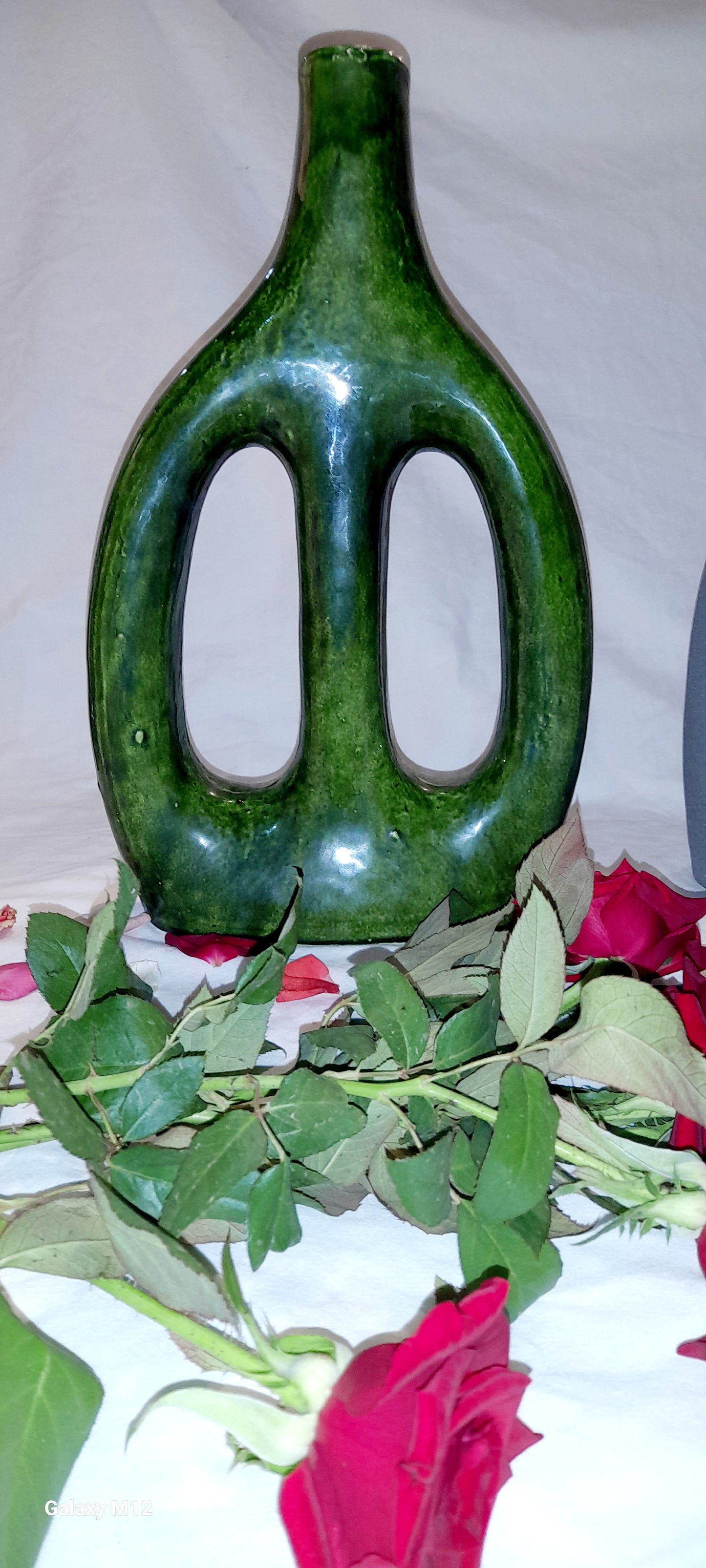 Modern Decorative Vases – Elegant Home Accent