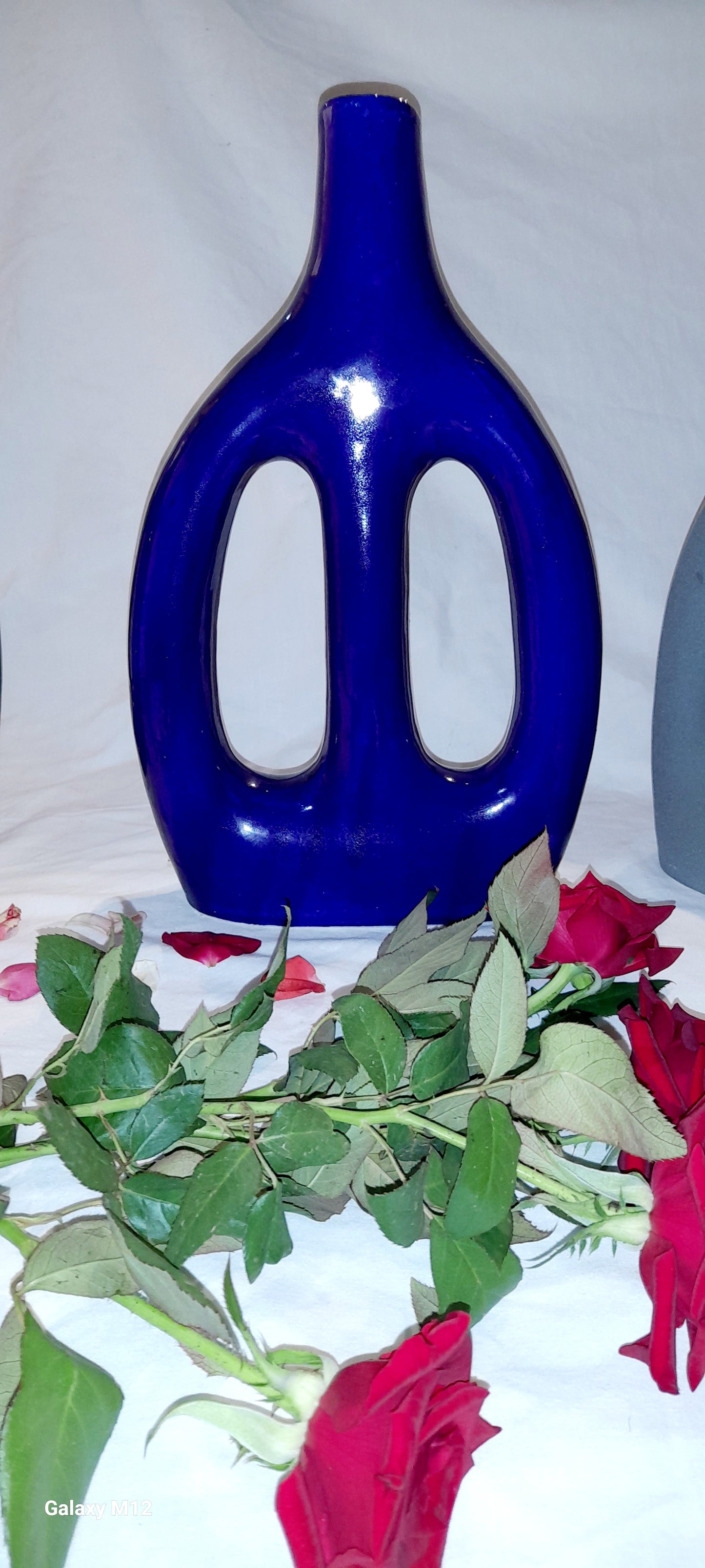 Modern Decorative Vases – Elegant Home Accent