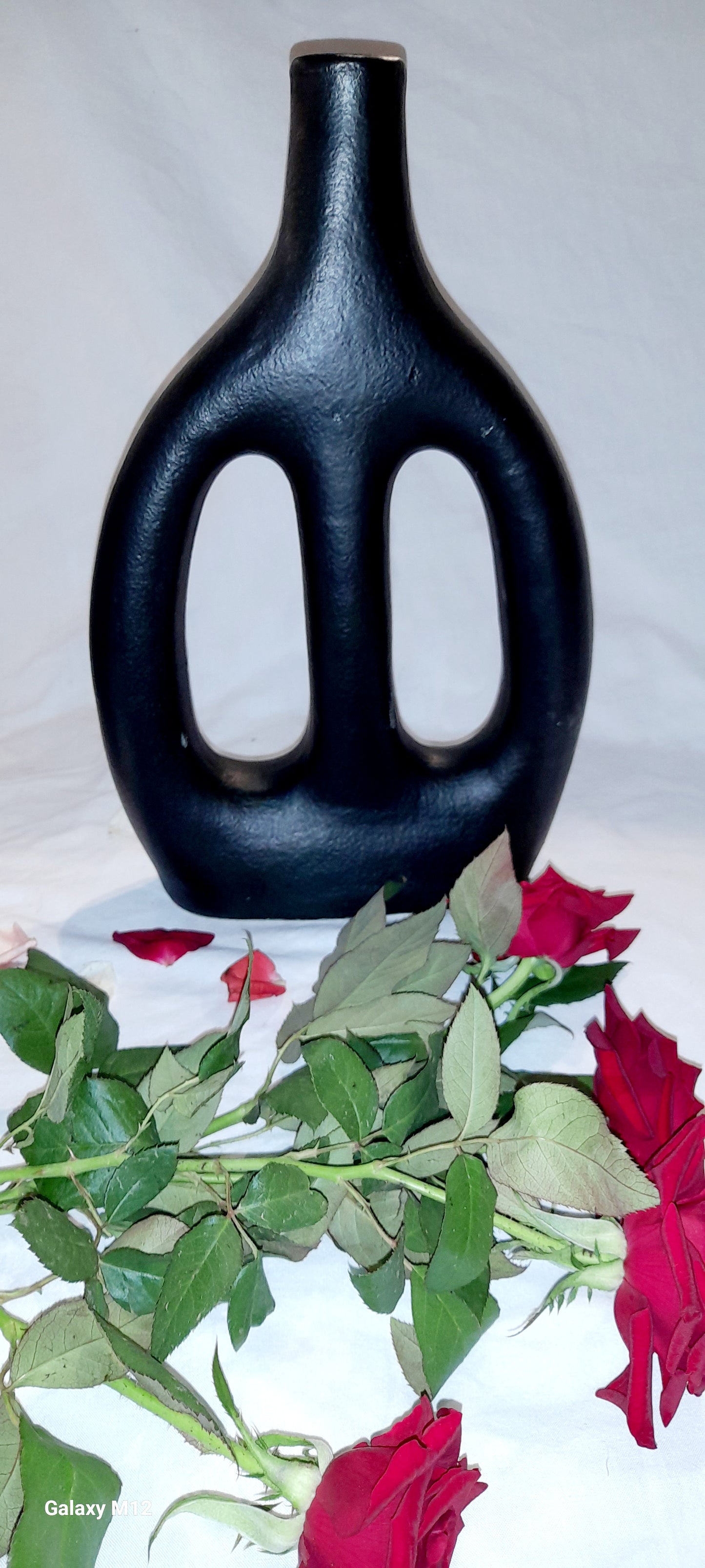Modern Decorative Vases – Elegant Home Accent