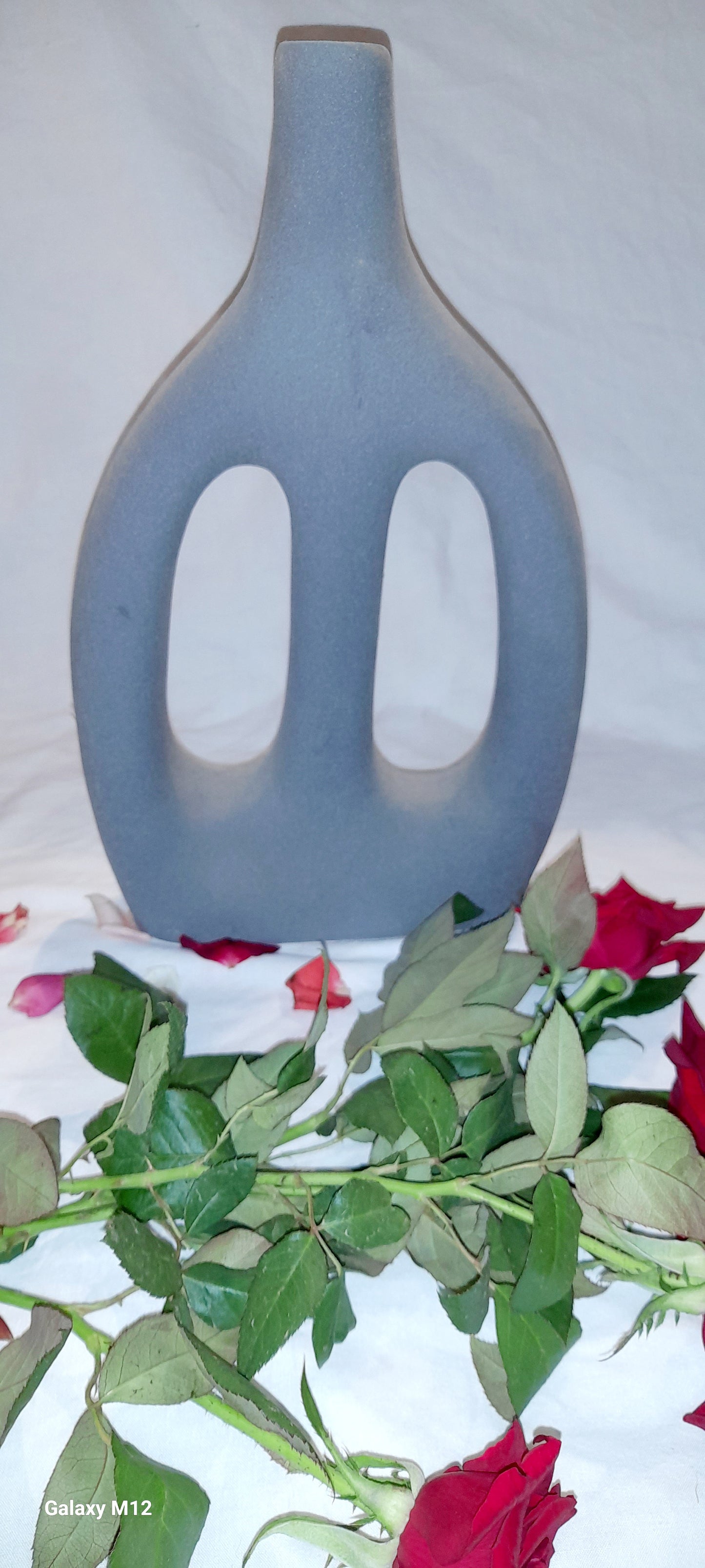 Modern Decorative Vases – Elegant Home Accent